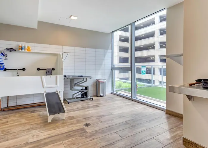 Apartment River North Jr 1br W Game Nr L Chi-971 Chicago